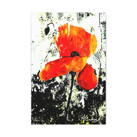 abstract corn field poppy canvas print